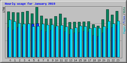 Hourly usage for January 2019